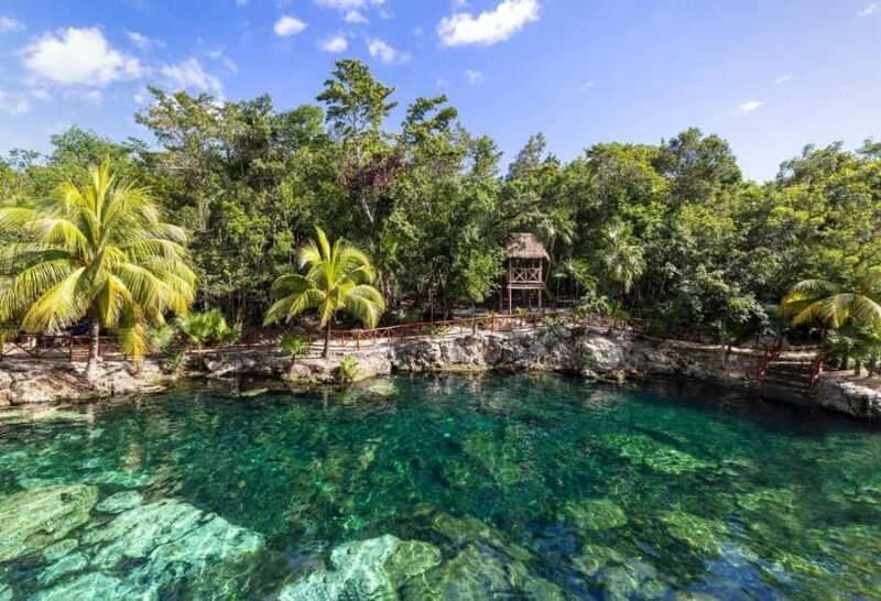 Tulum: Ven a la Luz, Temple, Cenote and Downtown Tour - An Authentic Introduction to Tulum’s Treasures