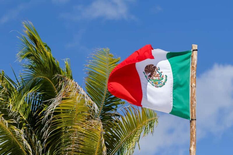 Tulum: Ven a la Luz, Temple, Cenote and Downtown Tour - Who Will Love This Tour?