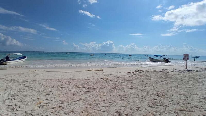 Tulum: Ven a la Luz, Temple, Cenote and Downtown Tour - The Sum Up