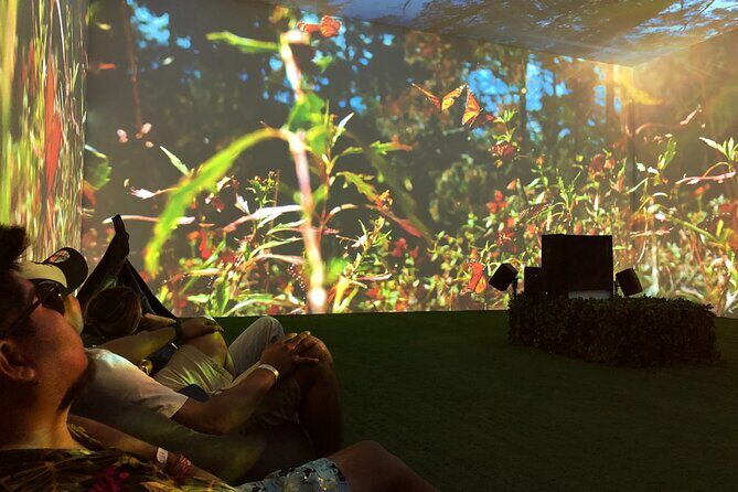 Tulum Vespa Tours with Lunch - Authentic Experiences and Traveler Feedback