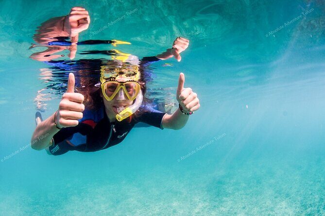 Tulum VIP Private Tour with Sea Turtles & Cenote  Award-Winning - Final Thoughts: Is It Worth It?