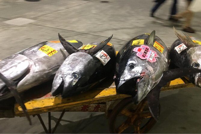 Tuna Auction and Market Tour at 'Activity Maison Kissako' - Detailed Breakdown of the Tour
