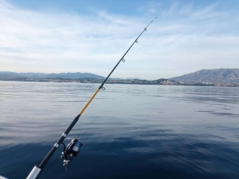 TUNA FISHING TRIPS IN FUENGIROLA - Pricing and Value