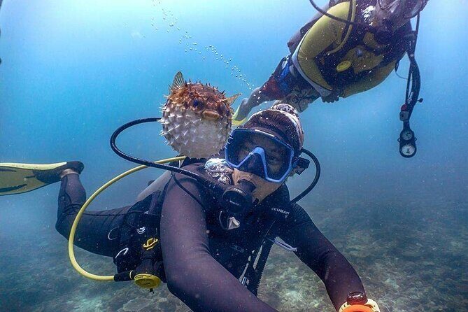 Tunku Abdul Rahman Marine Park Leisure Diving from Kota Kinabalu - Why This Tour Offers Good Value