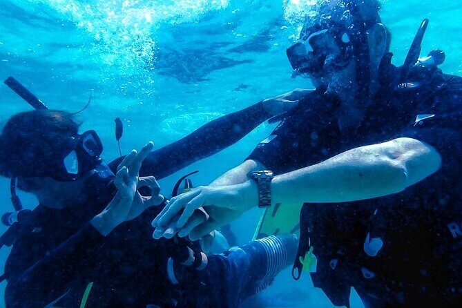 Tunku Abdul Rahman Marine Park Leisure Diving from Kota Kinabalu - Is This Tour Right for You?