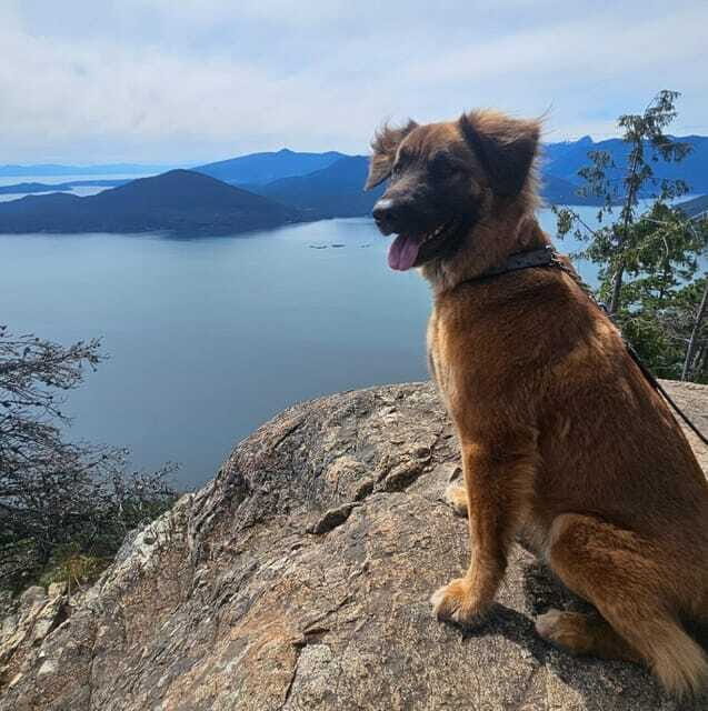 Tunnel Bluffs Hiking Day Trip- Vancouver - The Sum Up
