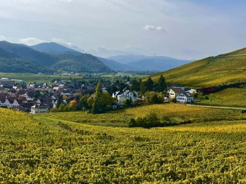 Turckheim: the town where the dragon sleeps, walking tour - Who Will Love This Tour?