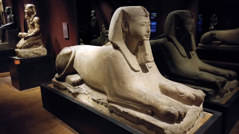 Turin: Guided Egyptian Museum Tour - Key Points
