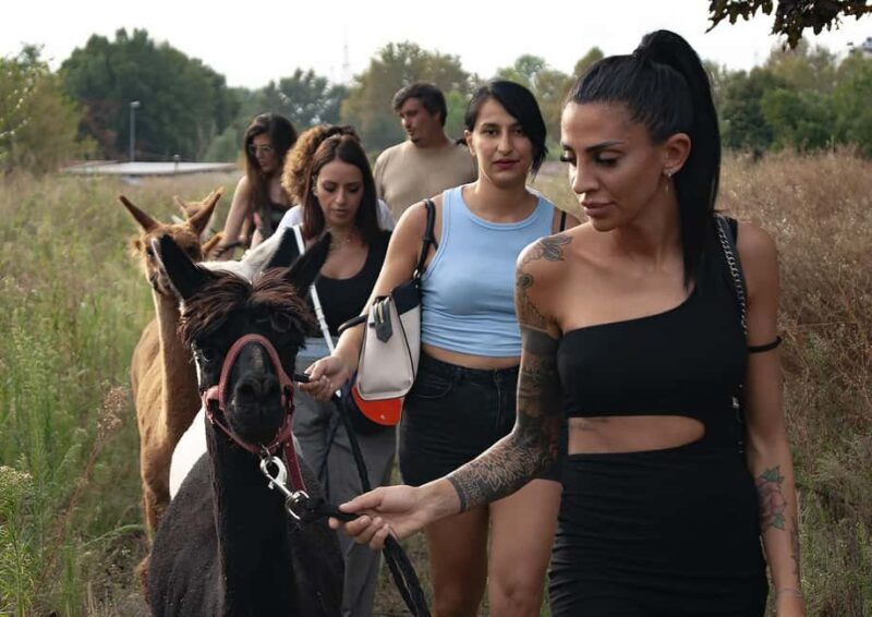 Turin: Walk with Alpacas in the Green and View of Monviso - Final Thoughts