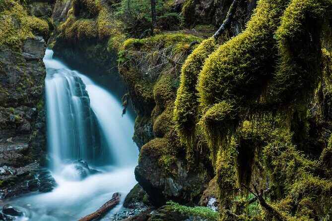 Turnagain Arm Highlights Photo Tour - Key Points