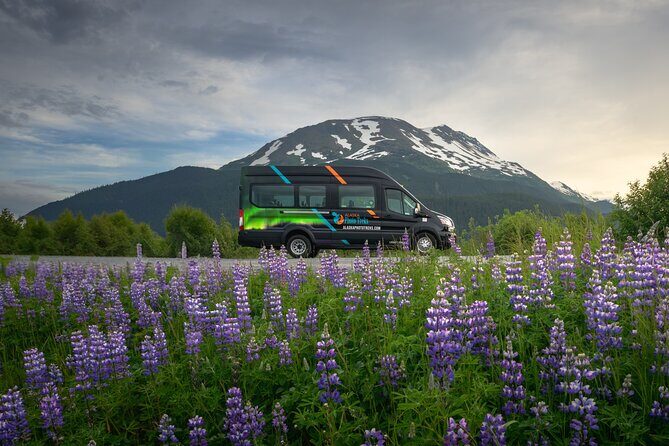 Turnagain Arm Highlights Photo Tour - The Sum Up: Who Should Consider This Tour?