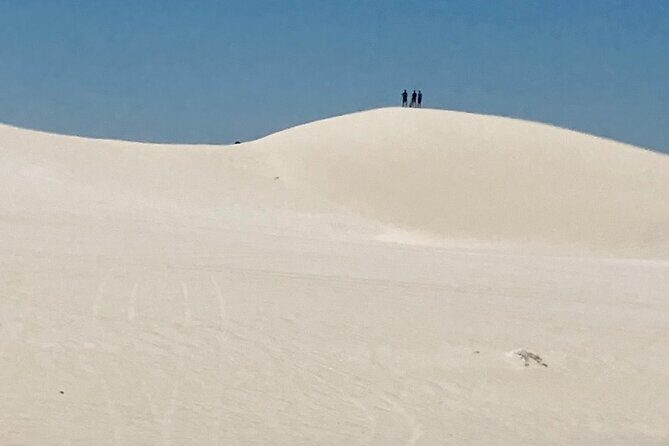 Turquoise Coast and Pinnacles Desert, Lunch Included. - The Sum Up: Is This Tour Right for You?