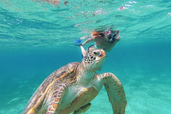 Turtle and Reef Sanctuary Snorkeling - An In-Depth Look at the Itinerary