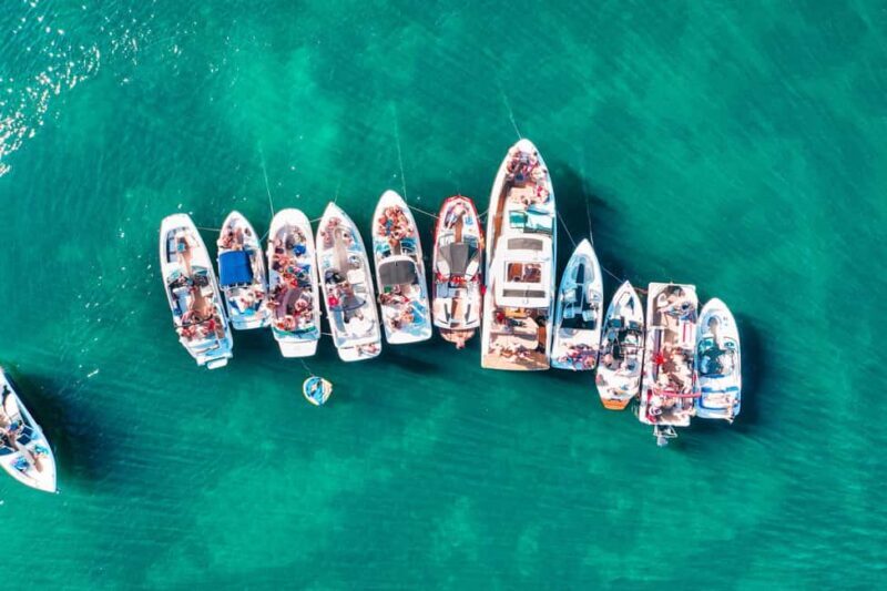 TURTLE BOAT TOUR - Key Points