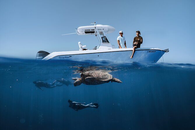 Turtle Canyon Snorkel in Waikiki, Oahu Semi Private - Key Points