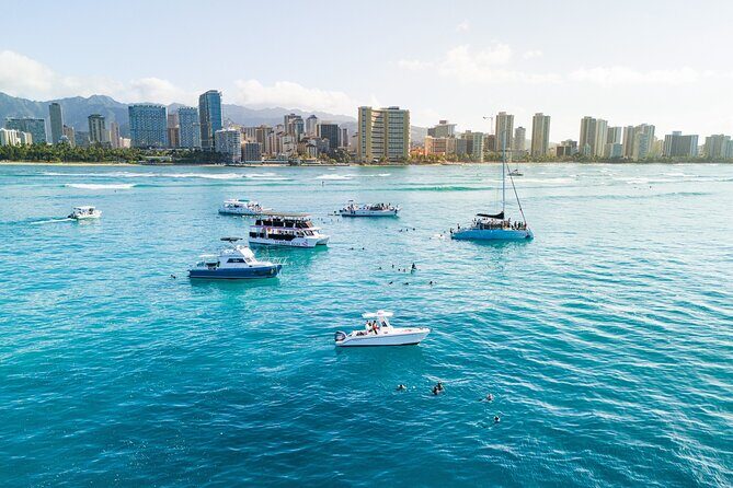 Turtle Canyon Snorkel in Waikiki, Oahu Semi Private - Authenticity and Respect for Marine Life