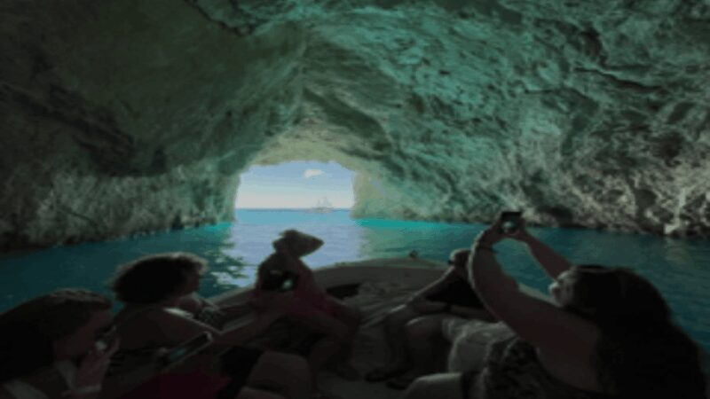 Turtle Cruise from 9 am or 12 noon or 3 pm for 3 hours - The Experience: What You Can Expect