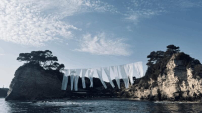 Turtle Cruise from 9 am or 12 noon or 3 pm for 3 hours - The Fine Print and Practical Tips