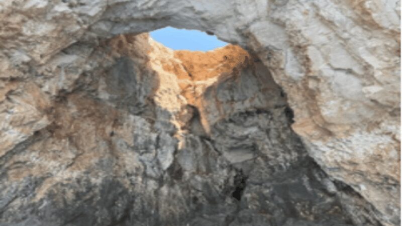 Turtle Cruise from 9 am or 12 noon or 3 pm for 3 hours - Authenticity and Tips from Reviews