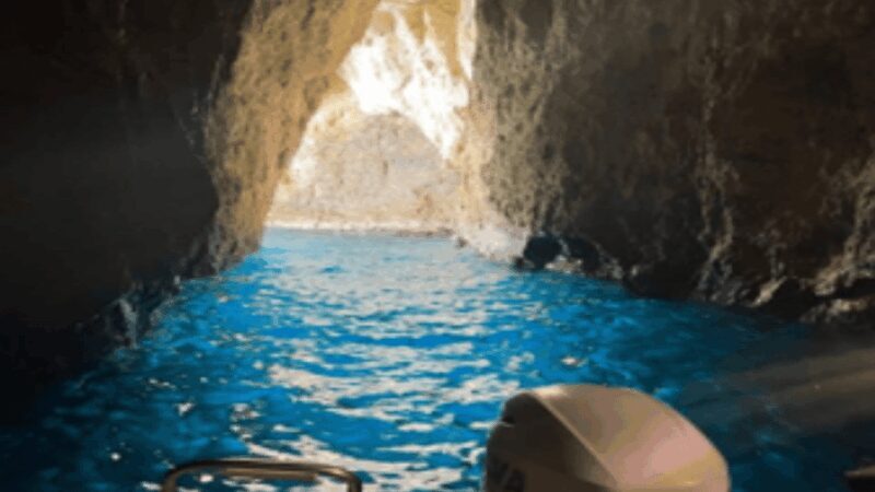 Turtle Cruise from 9 am or 12 noon or 3 pm for 3 hours - Final Thoughts