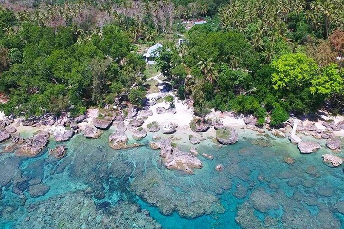 Turtle Encounter with Yumi Tours - The Sum Up: Is It Worth It?