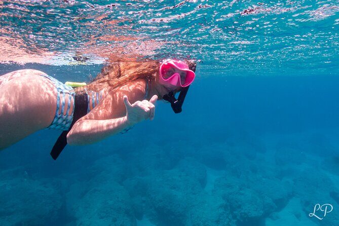 Turtle Gardens West Maui Snorkel Tour - An In-Depth Look at the Turtle Gardens Snorkel Tour