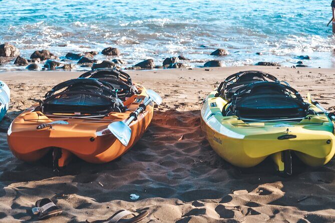 Turtle Gardens West Maui Snorkel Tour - Final Thoughts