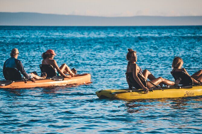 Turtle Gardens West Maui Snorkel Tour - Frequently Asked Questions