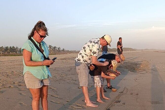 Turtle Release at Escobilla Beach - Why You Should Consider This Tour