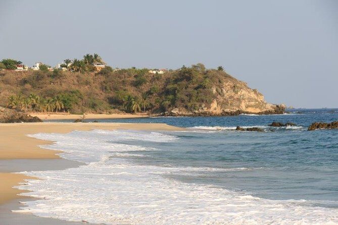 Turtle Release Escobilla Sanctuary and crocs in Ventanilla. - Authentic Feedback from Travelers