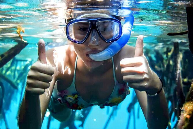 Turtle Sightseeing at Akumal & Underground Caves Tour - Practical Tips