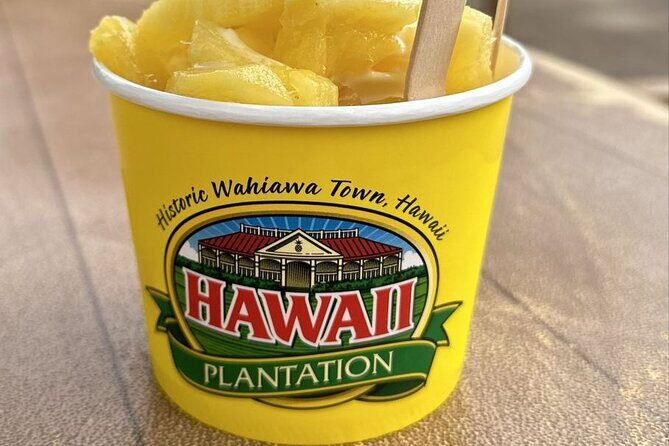 Turtle Snorkeling and Dole Plantation Guided Tour In Oahu - Value and Who It Suits Best