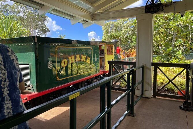 Turtle Snorkeling and Dole Plantation Guided Tour In Oahu - The Sum Up