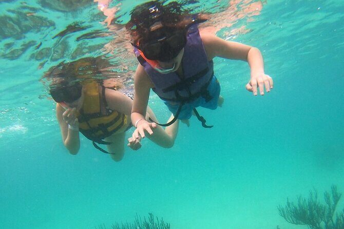 Turtle Snorkeling in Akumal - Detailed Review of the Snorkeling Adventure in Akumal