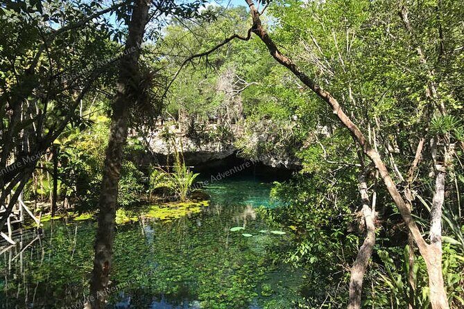 Turtle Snorkeling Private Tour  Sea Turtles & Cenote in Tulum - Why This Tour Offers Good Value