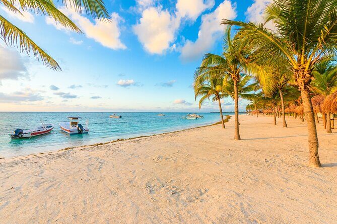 Turtle Swim, Lunch and Underground Cenote Private Tour - Introduction: An Authentic Riviera Maya Adventure