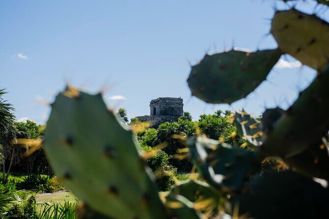 Turtle Swim & Tulum Ruins! Round Transportation from Playa del Carmen - The Pirate Show in Cancun: Evening Entertainment