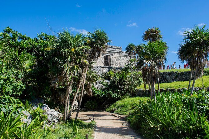 Turtle Swim & Tulum Ruins! Round Transportation from Playa del Carmen - Practical Details and What to Expect