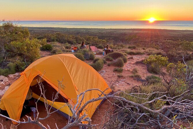Turtle Tour - Ningaloo Reef Half Day Sea Kayak and Snorkel Tour - Why This Tour Excels