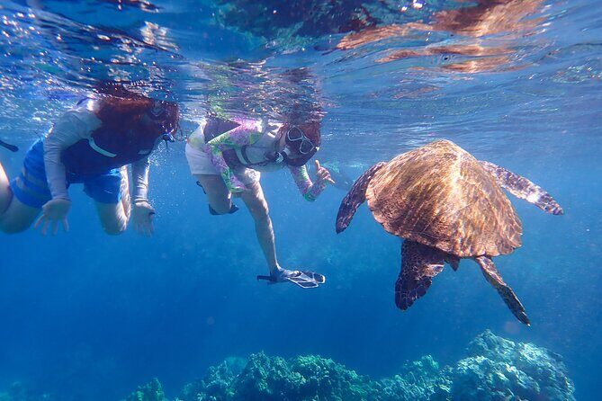 Turtle Town Beach Snorkel - Analyzing the Value