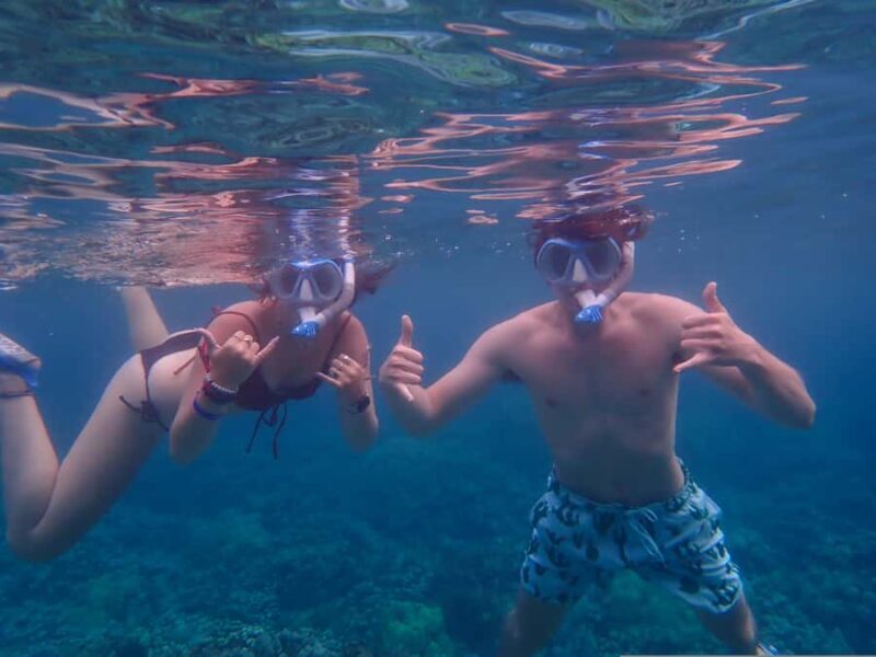Turtle Town Clear Kayak & Snorkel Tour (7am-9:30am) - FAQ
