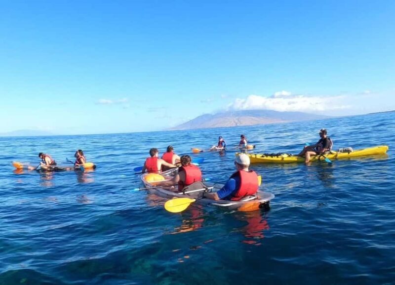 Turtle Town, Makena; Clear Bottom Kayak and Snorkel Tour - An In-Depth Look at the Tour Experience