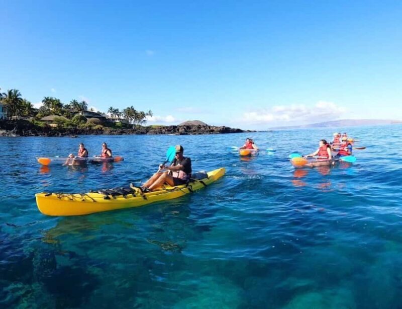 Turtle Town, Makena; Clear Bottom Kayak and Snorkel Tour - The Sum Up