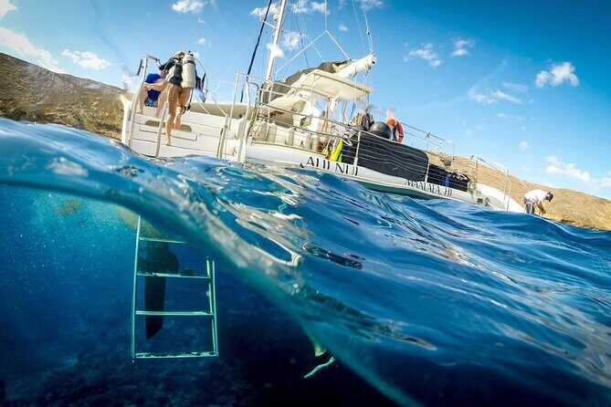 Turtles & Tacos Luxury Catamaran Snorkel - Final Thoughts