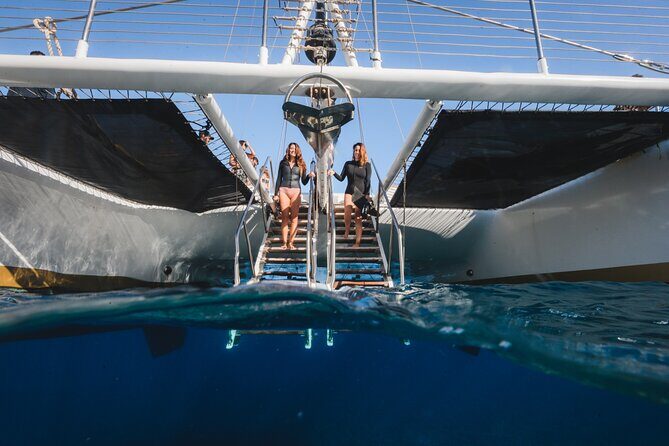 Turtles & Tacos Luxury Catamaran Snorkel - FAQs