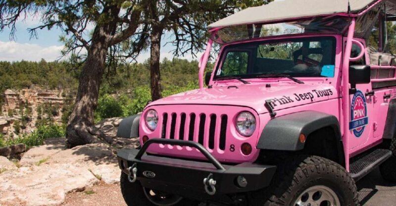 Tusayan: Grand Canyon Desert View & South Rim Pink Jeep Tour - Introduction