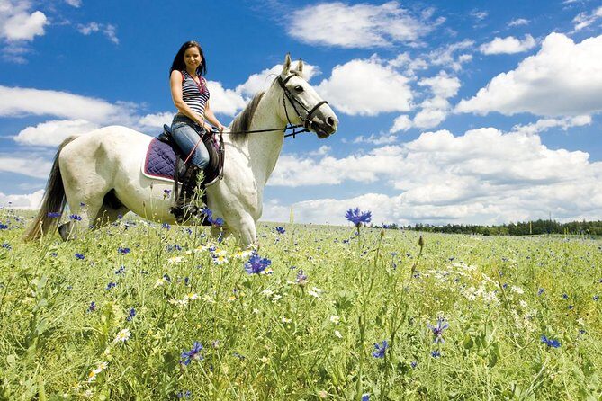 Tuscan Chianti Hills Horseback Riding Tour - Who Should Consider This Tour?