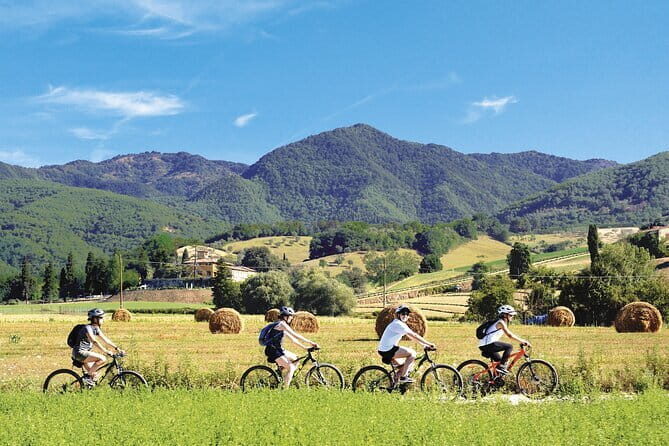 Tuscan countryside bike tour and food tasting - Key Points