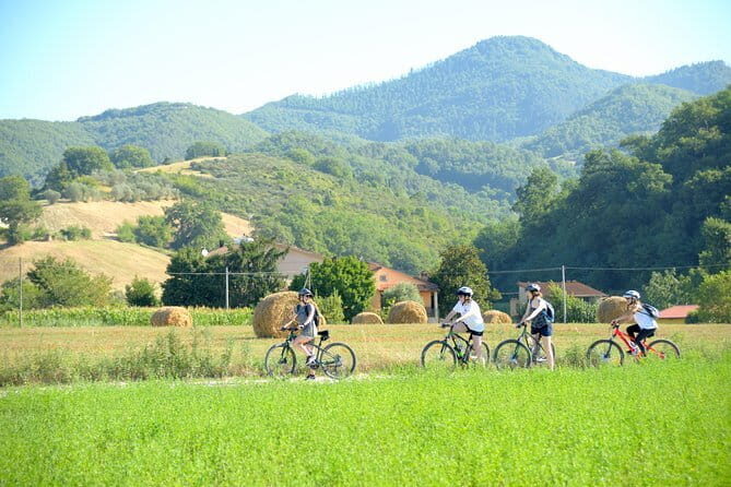 Tuscan countryside bike tour and food tasting - A Ride Through the Tuscan Countryside: What to Expect