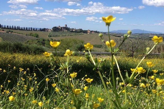 Tuscany Bike Tours Through the Chianti Hills with Wine Tasting - Who Should Consider This Tour?